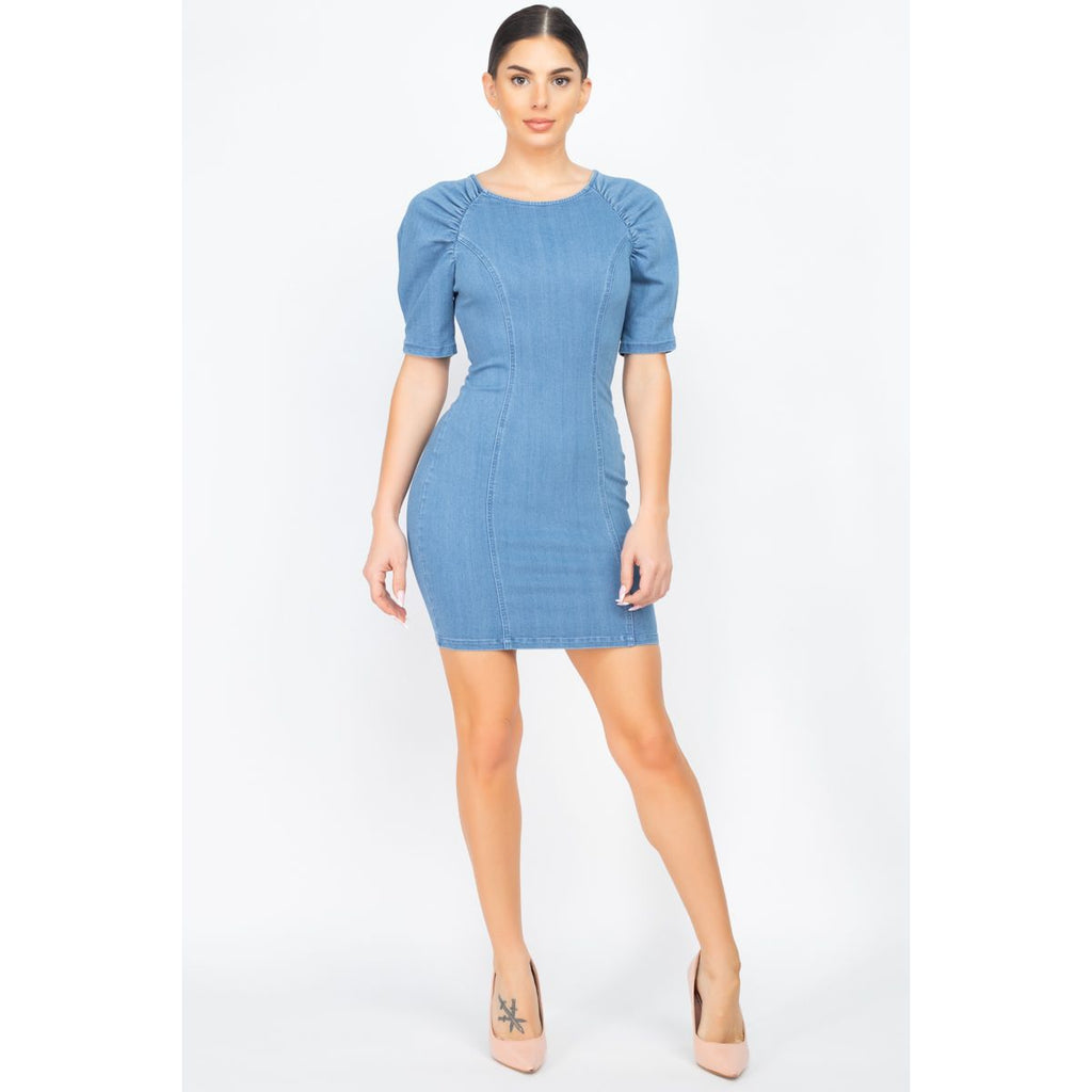 Puff Sleeve Seamed Denim Dress