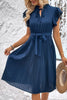 Tie Neck Belted Pleated Dress